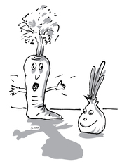 Karotte und Zwiebel 2.jpg